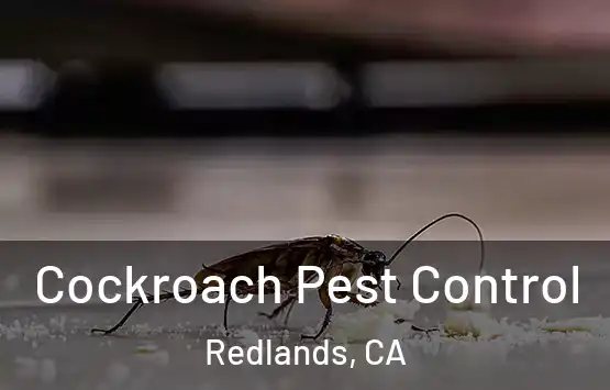  Cockroach Pest Control Redlands, CA