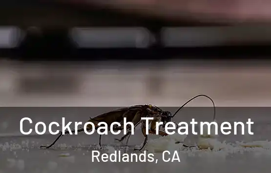  Cockroach Treatment Redlands, CA
