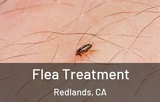  Flea Treatment Redlands, CA