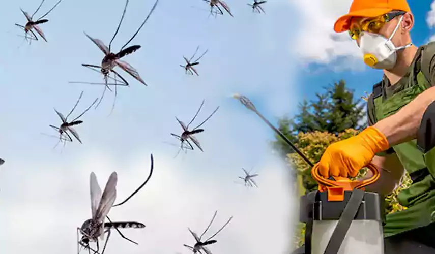Mosquito Pest Control in Redlands, CA