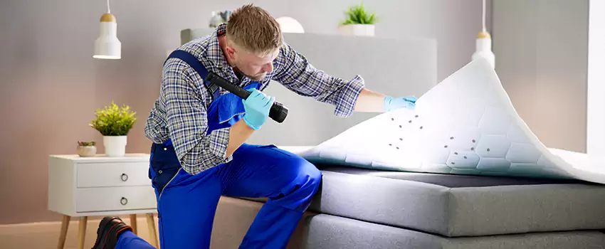 bed-bug-treatment in Redlands, CA