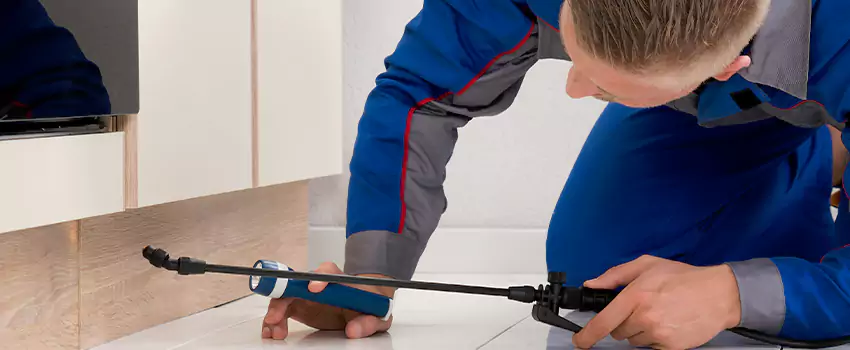 Commercial Pest Control for Offices in Redlands, CA