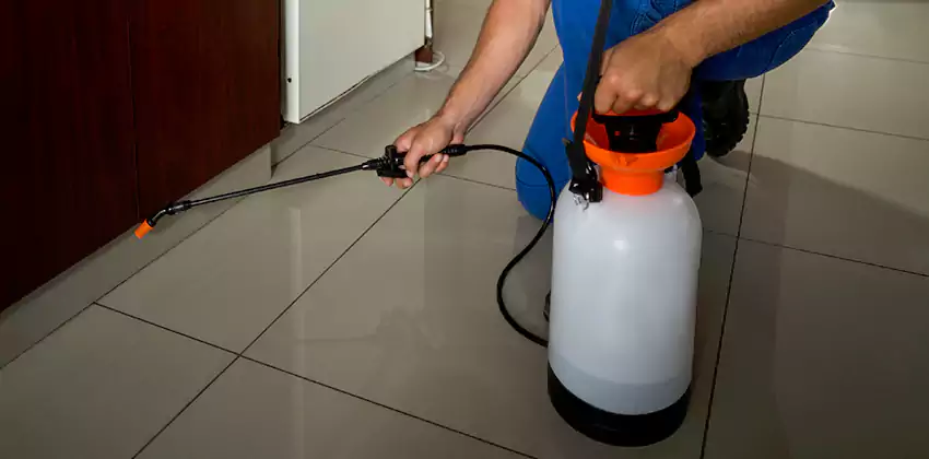 Commercial Pest Extermination for Offices in Redlands, CA