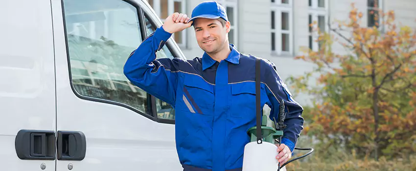 Organic and Chemical Spider Control Options Redlands, CA