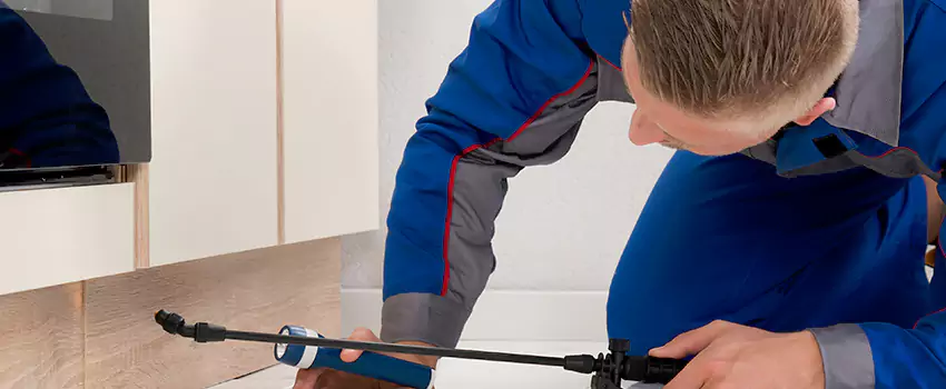 Termite Control for Children and Pets in Redlands, CA