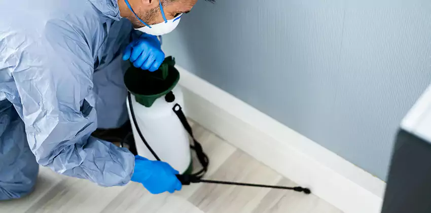 commercial-pest-exterminator in Redlands, CA