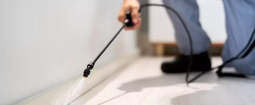 pest-exterminator in Redlands, CA