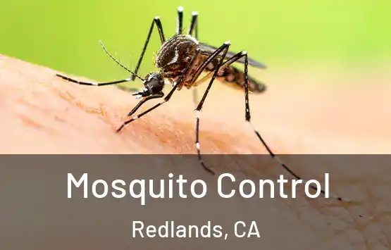  Mosquito Control Redlands, CA