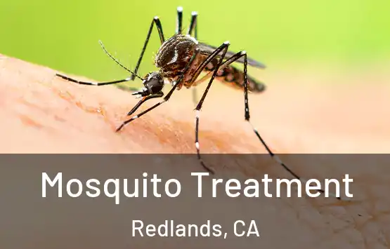  Mosquito Treatment Redlands, CA