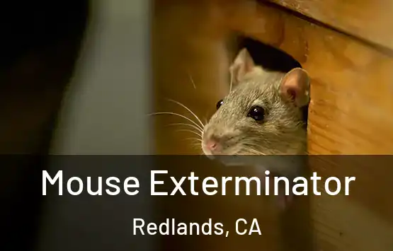  Mouse Exterminator Redlands, CA