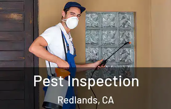  Pest Inspection Redlands, CA