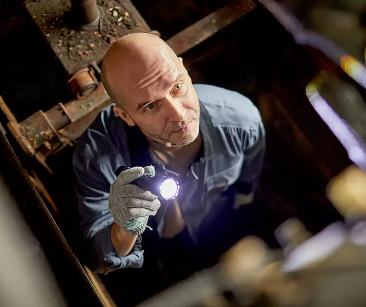 About Pest Inspection Redlands