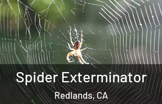  Spider Exterminator Redlands, CA