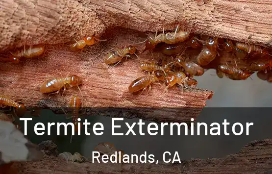  Termite Exterminator Redlands, CA