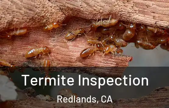  Termite Inspection Redlands, CA